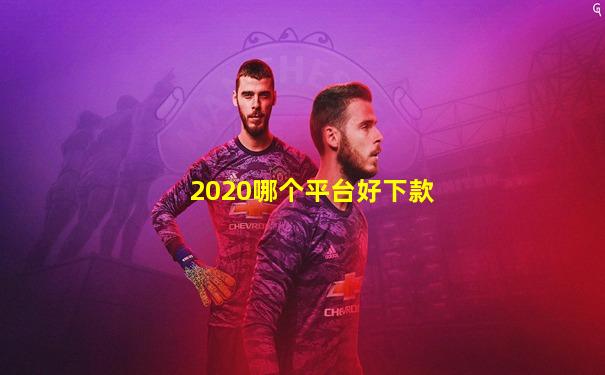 2020哪个平台好下款
