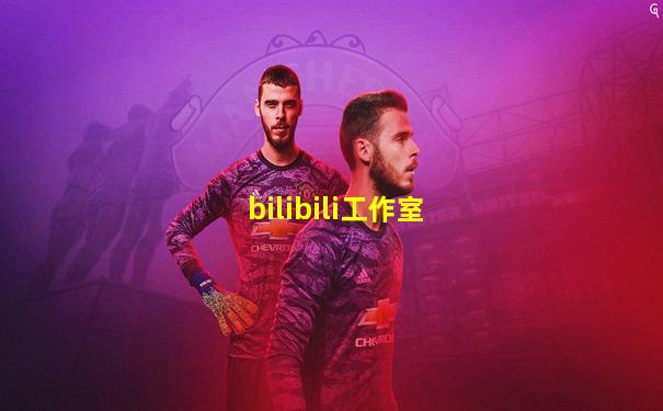 bilibili工作室