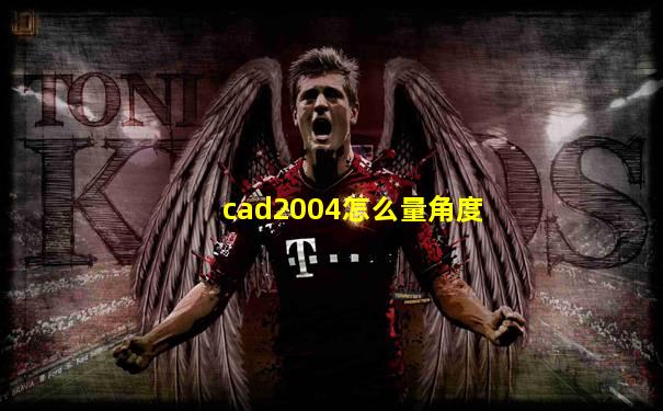 cad2004怎么量角度