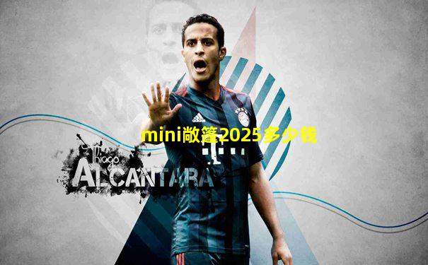 mini敞篷2025多少钱