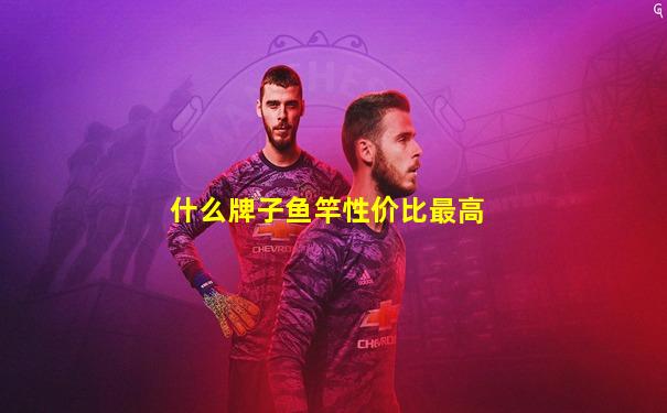 什么牌子鱼竿性价比最高