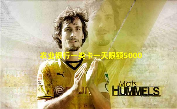 农业银行一类卡一天限额5000