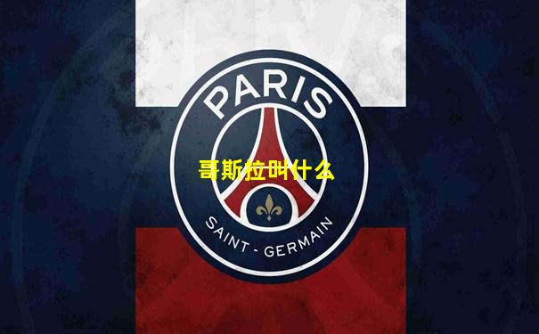哥斯拉叫什么