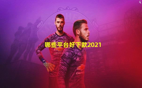 哪些平台好下款2021
