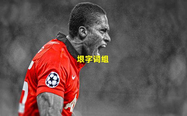 垠字词组