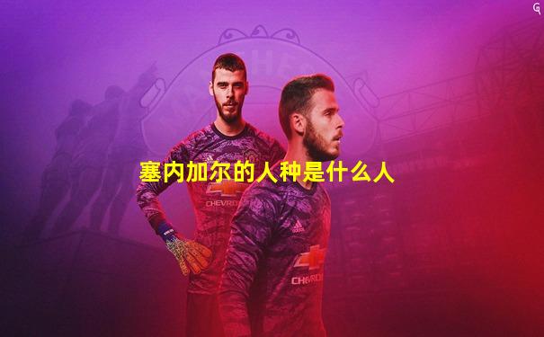 塞内加尔的人种是什么人