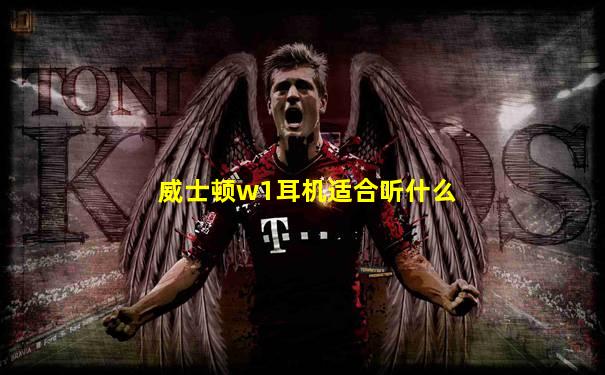 威士顿w1耳机适合听什么