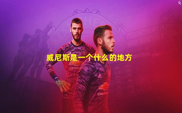 威尼斯是一个什么的地方