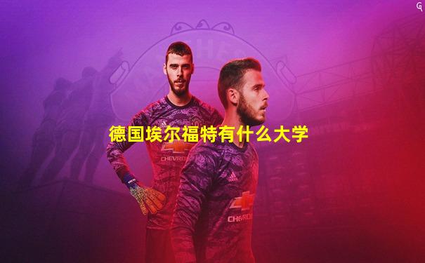德国埃尔福特有什么大学