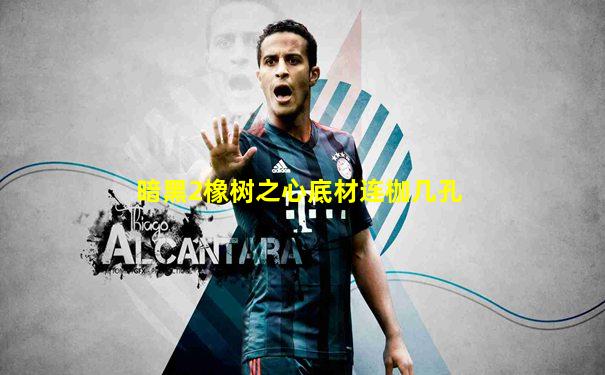 暗黑2橡树之心底材连枷几孔