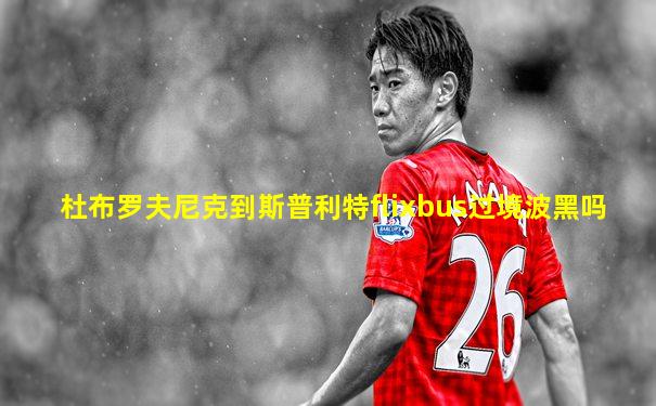 杜布罗夫尼克到斯普利特flixbus过境波黑吗