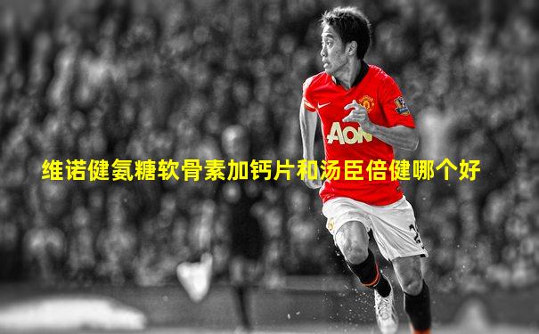维诺健氨糖软骨素加钙片和汤臣倍健哪个好