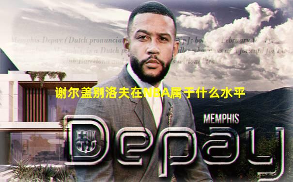 谢尔盖别洛夫在NBA属于什么水平