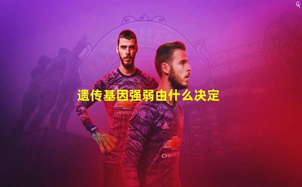遗传基因强弱由什么决定