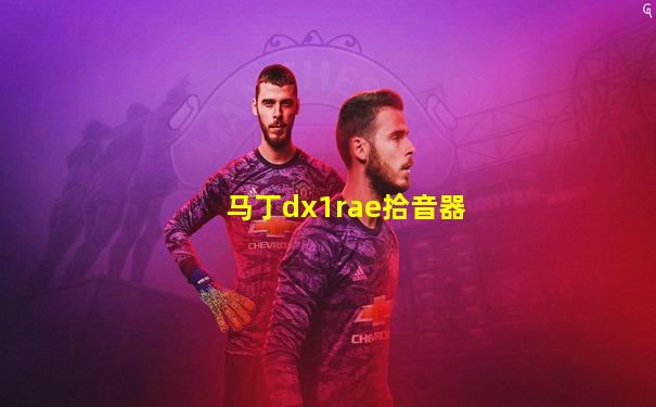 马丁dx1rae拾音器